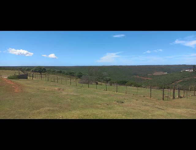 9HA FARM FOR SALE IN UITENHAGE CENTRAL